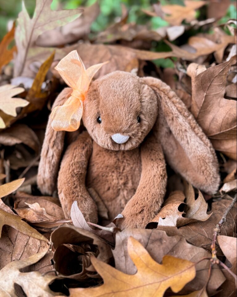 Autumn Bunny Delight