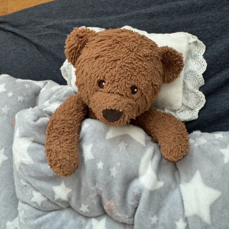 Bedtime Bear Buddy