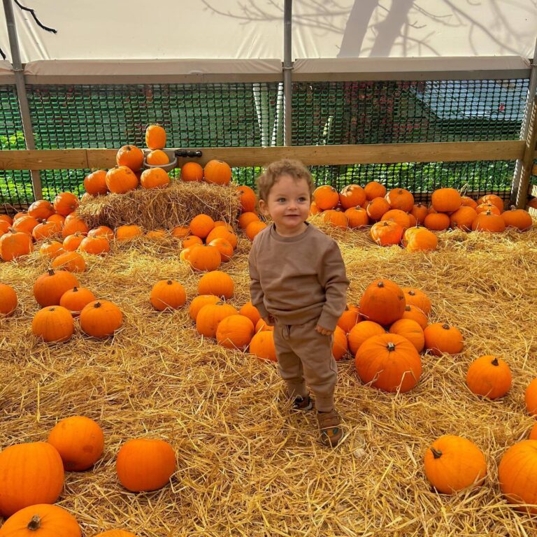 Toddler Meets Pumpkin Patch