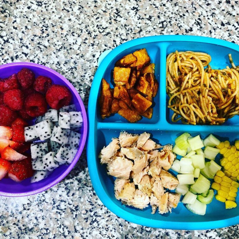 Vibrant Toddler Meals