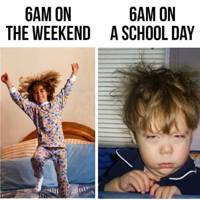 Weekend vs School Day Moods