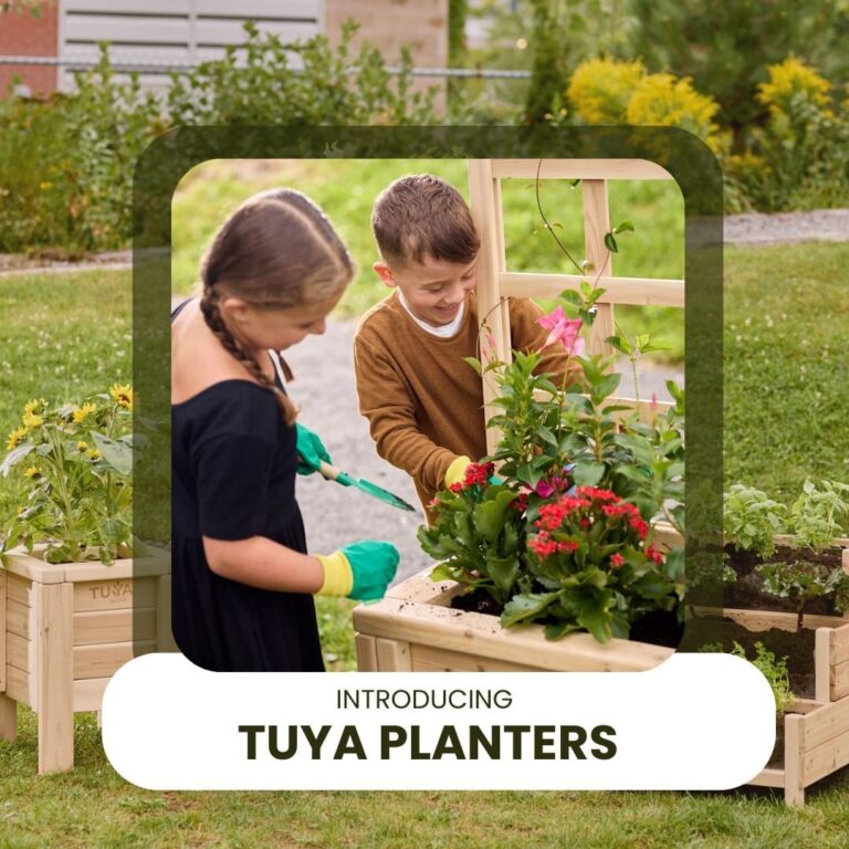 Decorate with Tuya Planters