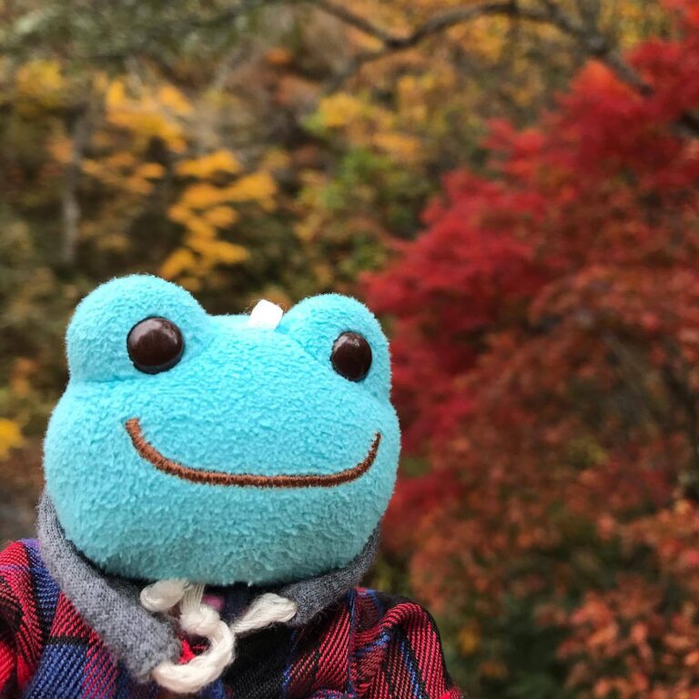 Fall Foliage Fun